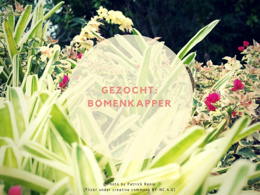 Alle begin is moeilijk